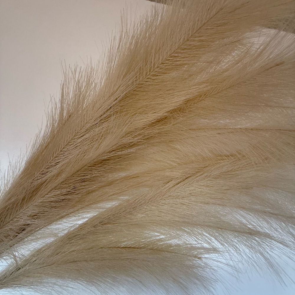 Cream large pampas grass - Picture 3 of 3